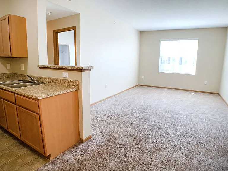 Living room and kitchen
