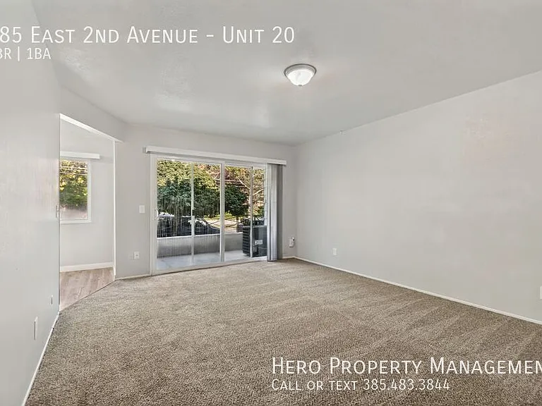 585 E 2nd Ave #20 — Photo 7