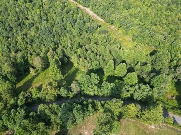 4 River Ridge Ln, Mount Nebo, WV 26679
