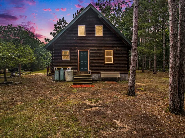 4766 E Barothy Rd, Custer, MI 49405