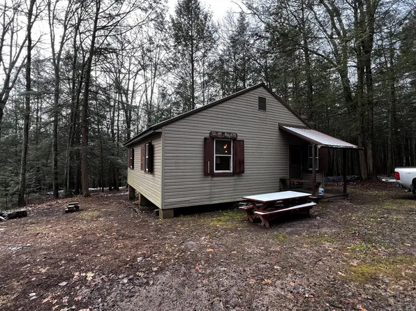 2676 Francis Leetonia Rd, Gaines, PA 16921