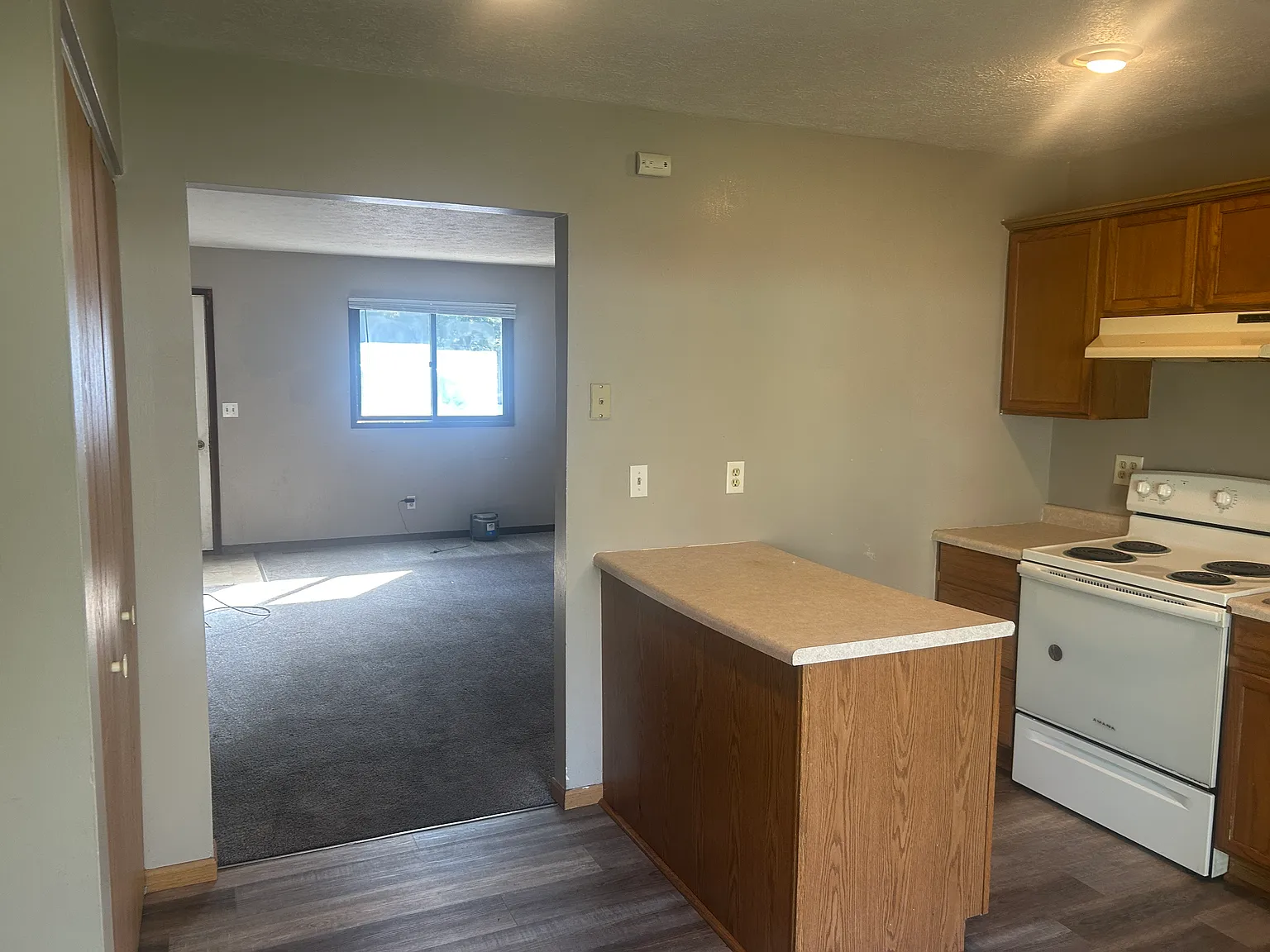2 bed, $800 — Photo 4