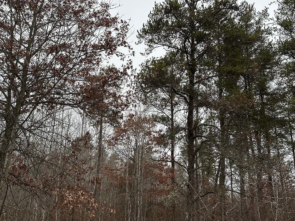 2nd image of Swamp Lake Rd #4069-26
