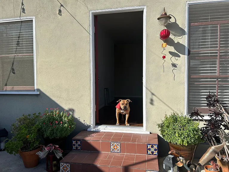 2307 1/2 Laverna Ave — Photo 21