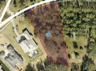15512 Pendio Dr LOT 148, Montverde, FL 34756