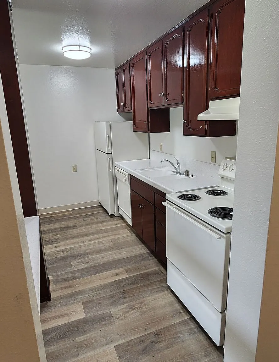 Beadnell Apartments — Photo 2