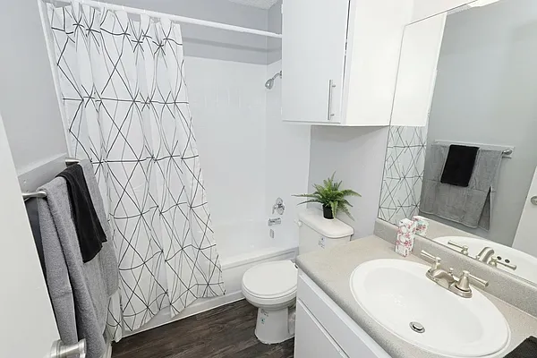 The Social Apartments — Photo 9