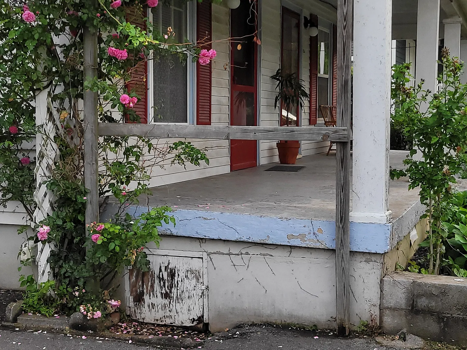303 Morton Ave — Photo 3