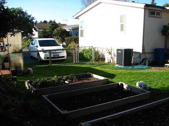 Raised Beds