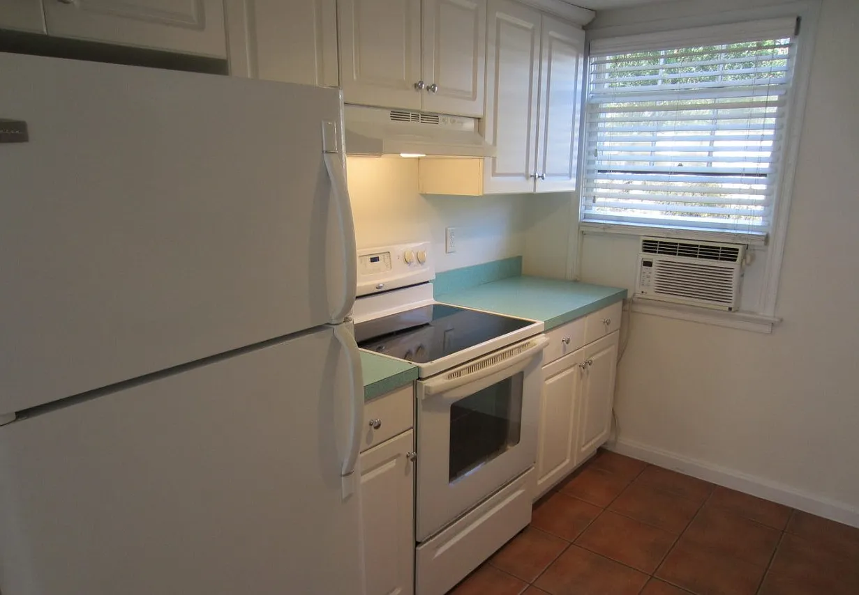 1 bed, $1,100 — Photo 3