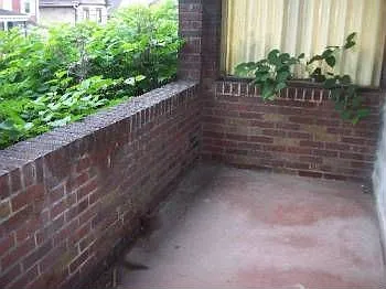 1803 Murdough St photo 1