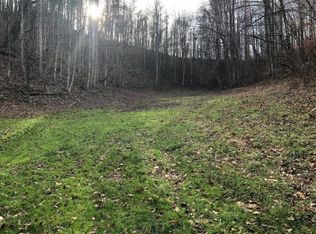 4560 Old Asheville Hwy, Flag Pond, TN 37657