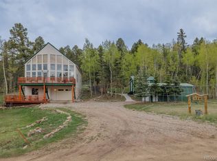 124 Bear Trl, Lake George, CO 80827