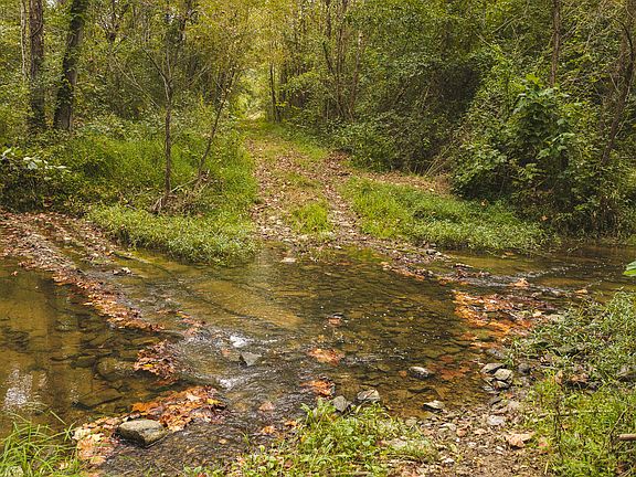 2nd image of 1444 Beech Creek Rd