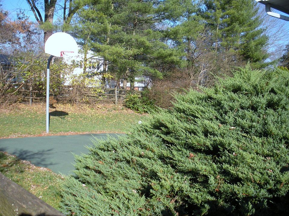 Basket Ball Court in Rear