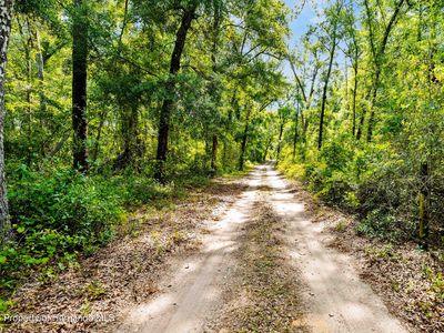 0 Lager St, Brooksville, FL, 34602
