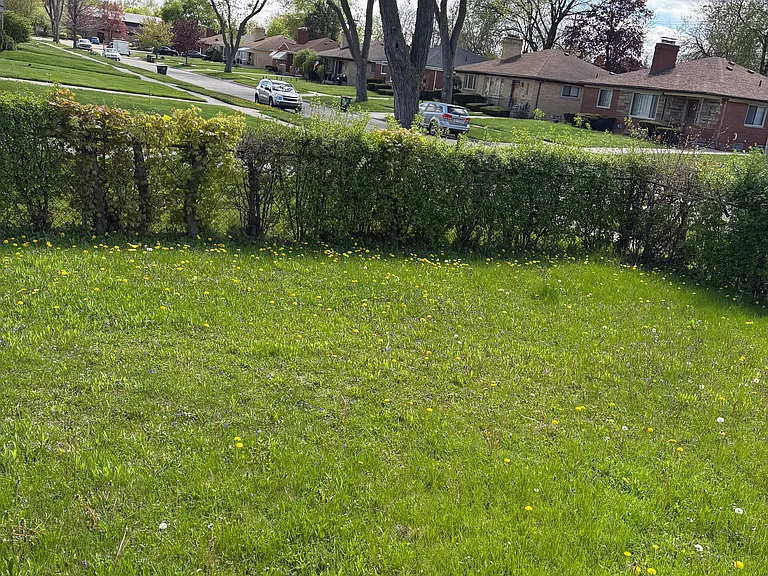 13441 Northfield Blvd — Photo 10