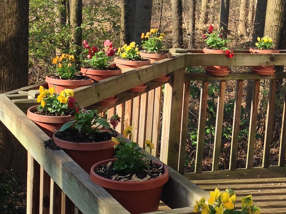 Flower lined railing