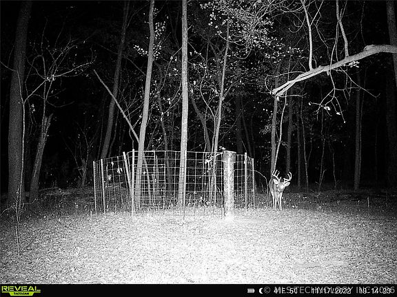 5th image of 101555 S 4590th Rd
