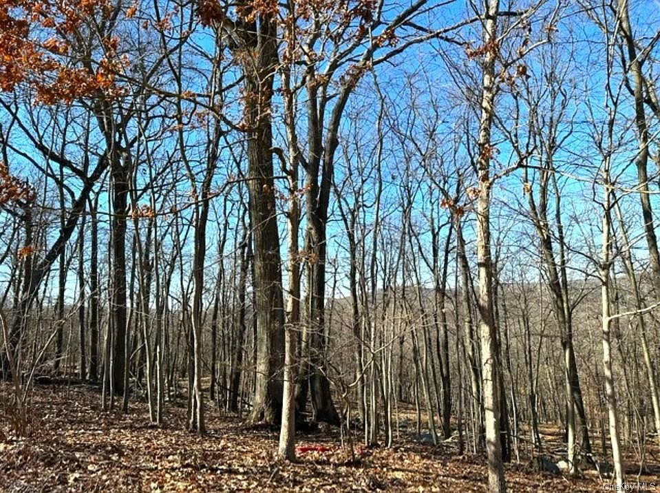 51 Waldron Ter, Sloatsburg, NY 10974 MLS H6237215 Zillow