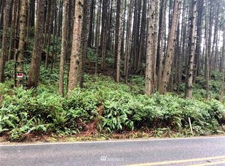 LOT Nine Block 10 Roosevelt Bch, Pacific Beach, WA 98571
