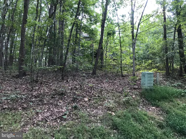 0 Mallard Dr, Mount Jackson, VA 22842
