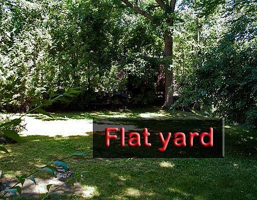 Flat back yard! 