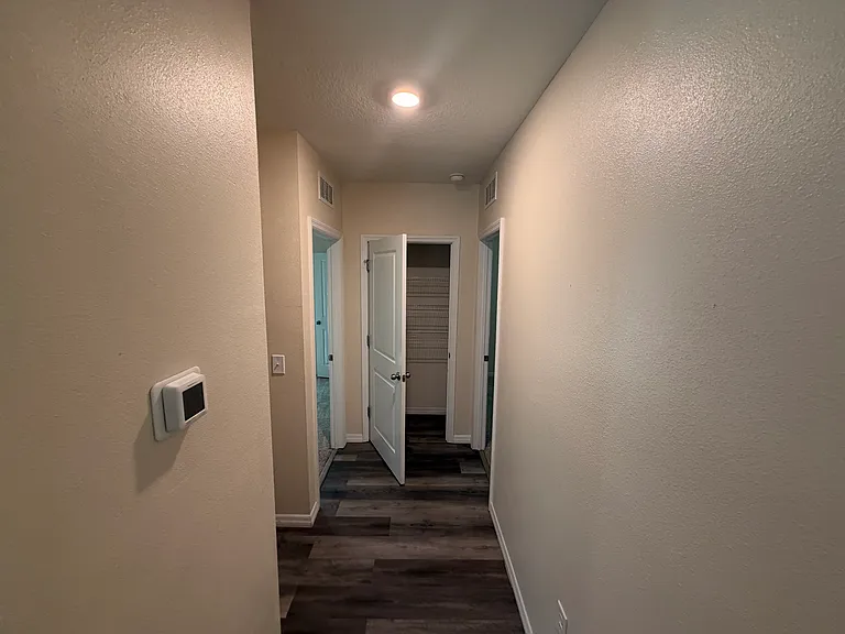 11003 Trailing Vine Dr — Photo 14