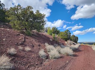 104 N County Road 3313 Rd #83, Vernon, AZ 85940