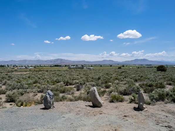 30 Terrell Ln, Wellington, NV 89444