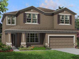 10724 Breaking Rocks Dr, Tampa, FL 33647