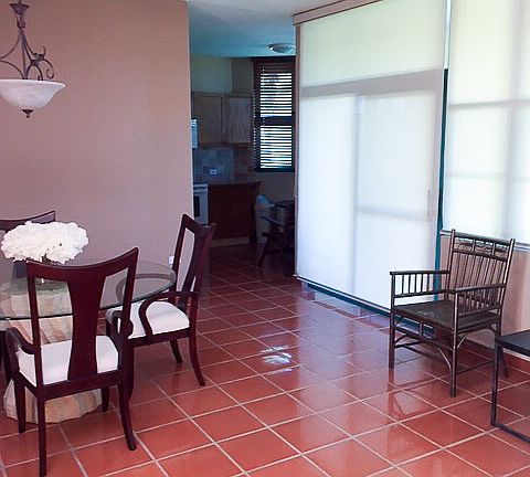 Dining / Living area