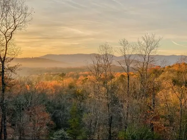 208 Wolf Trce, Blue Ridge, GA 30513