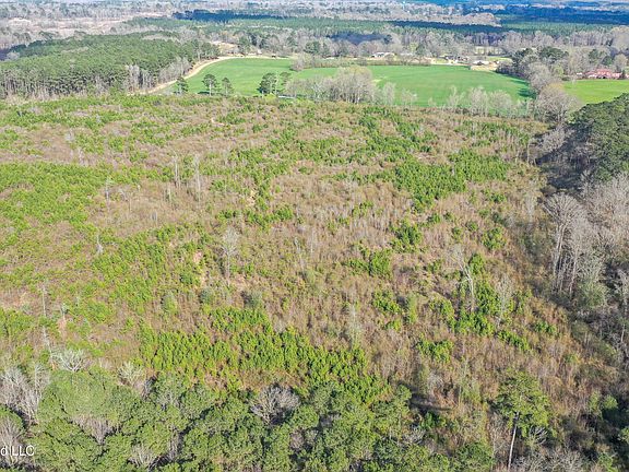 5th image of Warren Hill Pl