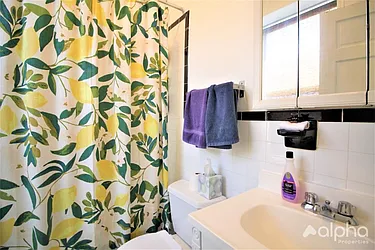 Rented by Alpha Properties NYC I LLC