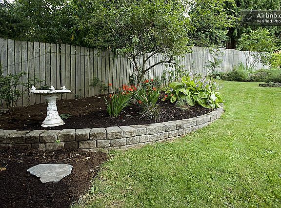 beautiful backyard