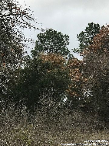 1st image of 22847 Black Cherry