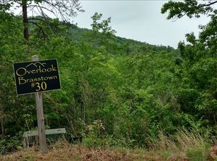 LOT 30 Brasstown Vw, Brasstown, NC 28902