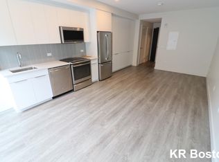 164 Brookline Ave #1, Boston, MA 02215