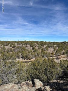 1780 Shad Pl, Show Low, AZ, 85901