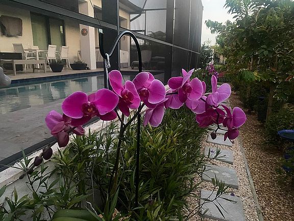 4th image of 116 W Flamingo Cir