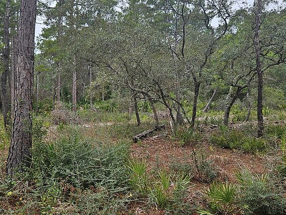 3rd image of 134 Timber Ln