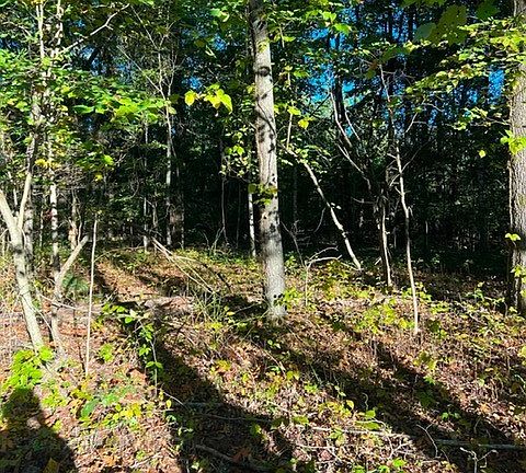 2nd image of 196 Woodstock Dr Lot 176