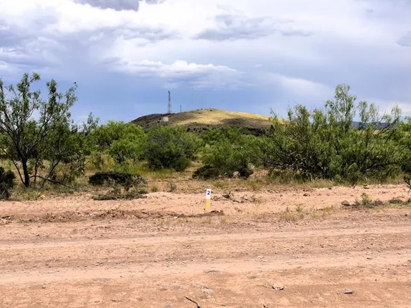 406 Sagebrush Rd, Alpine, TX 79830