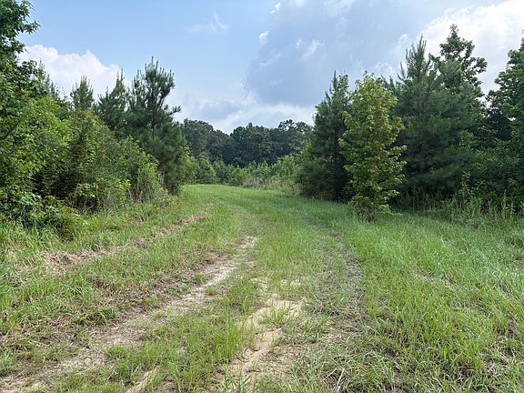 3rd image of 0 Dexter Centerville Rd E
