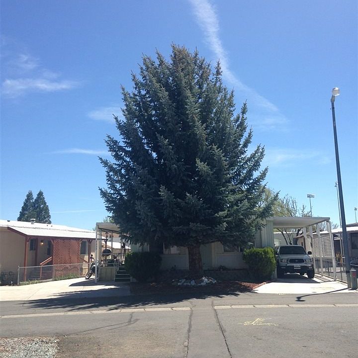 1st image of 1335 Kingslane