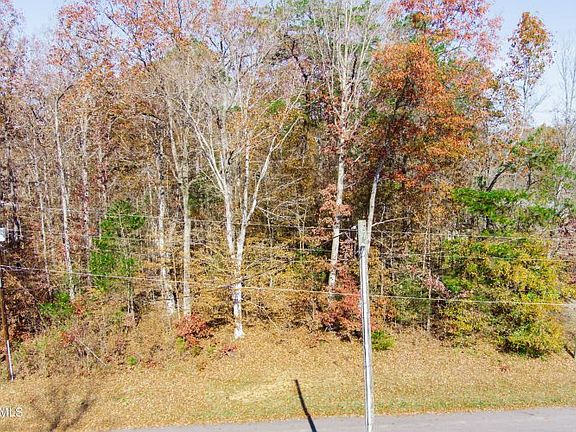 5th image of 520 Basswood Ln
