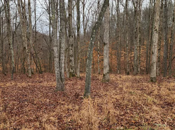 0 River Watch Trce #1, Sparta, TN 38583