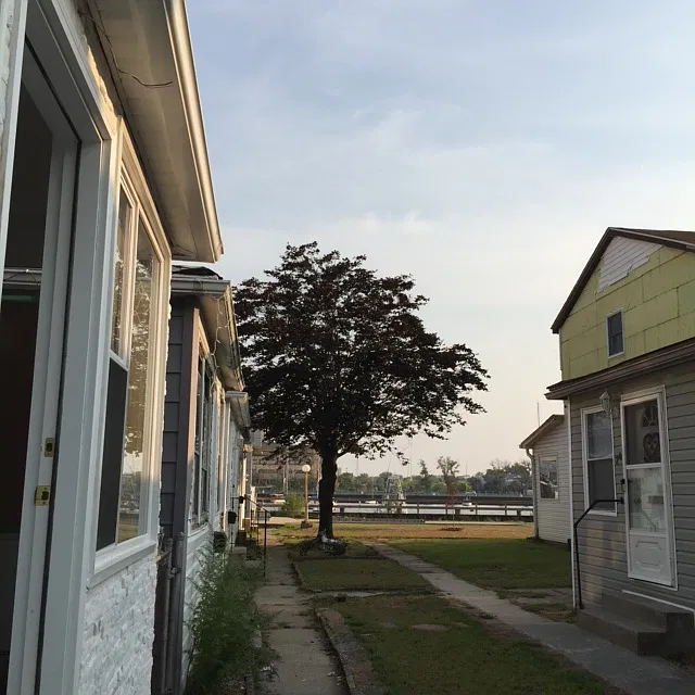 3 bed, 800 sqft, $2,590 — Photo 3