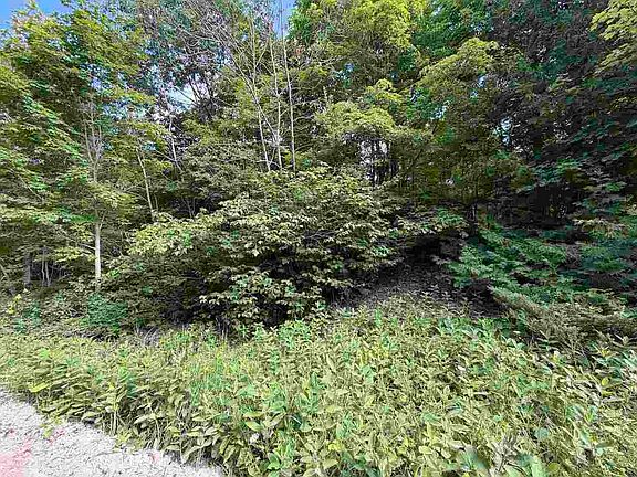 4th image of 37690 Allens Lakeview Rd